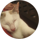 Bella Andini profile picture